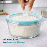 Premium Glass Tiffin with Bag | 400 x 3 Round Container Lunchbox